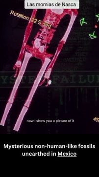 Mysterious non-human-like fossils unearthed in Mexico