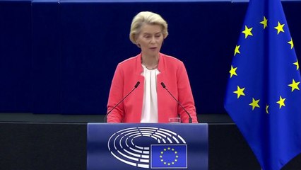 EU 집행위원장 "중국산 전기차 反보조금 조사 방침" / YTN