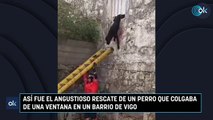 Así fue el angustioso rescate de un perro que colgaba de una ventana en un barrio de Vigo