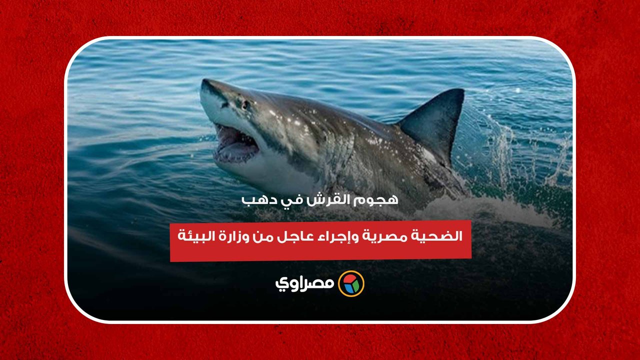 هجوم القرش في دهب.. الضحية مصرية وإجراء عاجل من وزارة البيئة