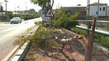 Las consecuencias del temporal se extienden por Castellón y Murcia