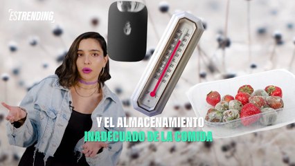 No consumas alimentos con moho