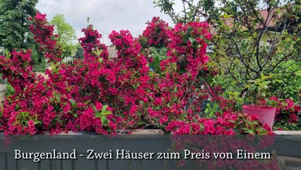 Burgenland - Zwei Häuser zum Preis von Einem