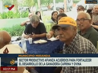 Sectores productivos de Falcón afianzan y fortalecen el desarrollo de la ganadería caprina y ovina