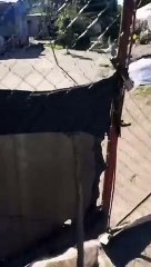 “Con cerveza, parlante y todo”: La reacción de una mamá al encontrar a su hijo en un pozo tras una fiesta 