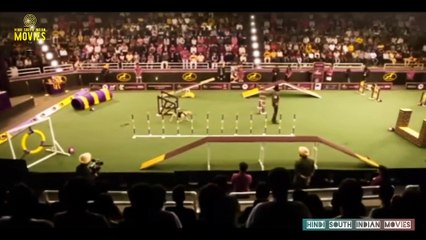 Top South Indian Movies Dubbed in Hindi 🎬