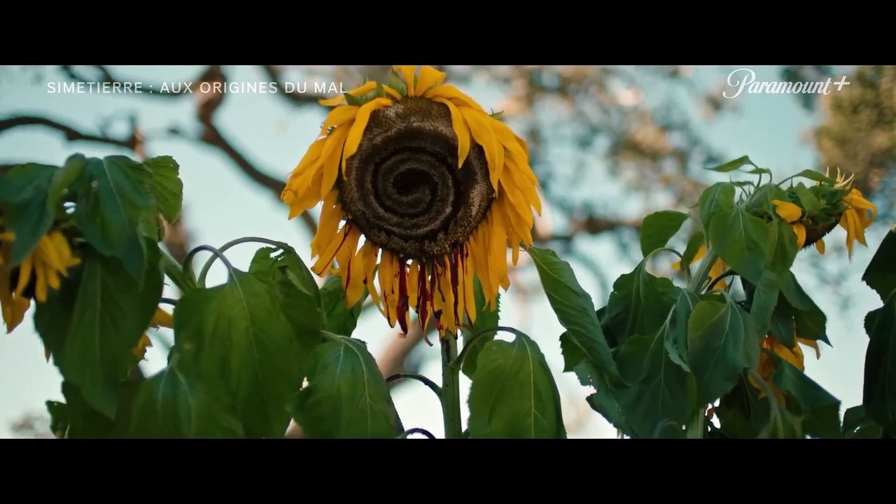 SIMETIERRE : AUX ORIGINES DU MAL Bande Annonce (Horreur, 2023)