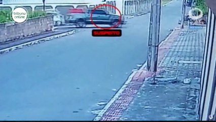 Vídeo mostra o momento em que policial mata cachorro a tiros em Guarapari