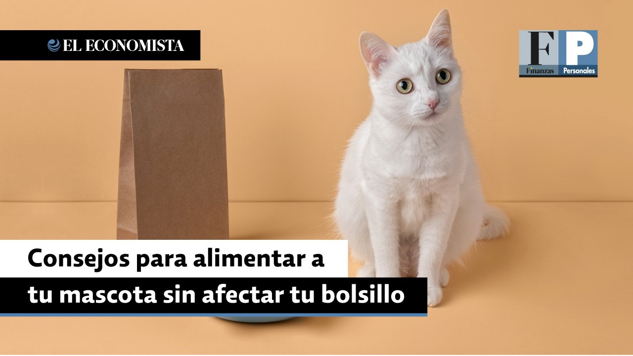 Consejos para alimentar a tu mascota sin afectar tu bolsillo