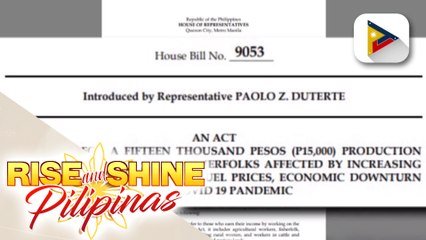 10-M magsasaka, inaasahang makikinabang sa Production Subsidy Program Bill