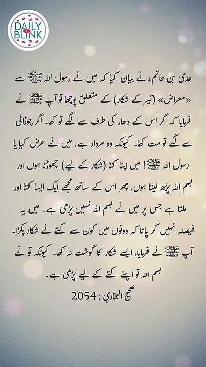 Daily Hadees | Hadees Sharif | Sahih Bukhari 2054 || Daily Blink #shorts #viral #sahihbukhari