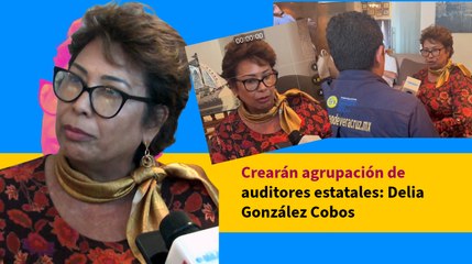 Crearán agrupación de auditores estatales: Delia González Cobos