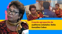 Crearán agrupación de auditores estatales: Delia González Cobos