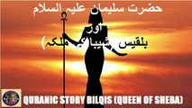 Quranic story of Bilqis (Queen Of Sheba) | بلقیس (شیبا کی ملکہ) کی قرآنی کہانی | @islamichistory813