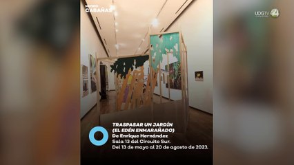 A 40 años de sus inicios, expertos charlan acerca del progreso del arte contemporáneo en Guadalajara