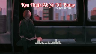 Kya Thuja Ab Ya Dil Batay || Slowed & Reverb Song ||