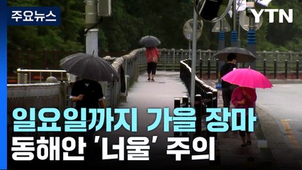 [날씨] 일요일까지 가을장마...동해안 '너울' 주의 / YTN