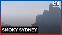 Sydney Harbor blanketed in haze ahead of bushfire season