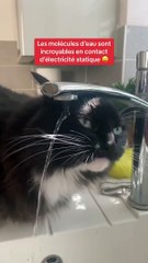 Les molécules d’eau sont incroyables au* contact d’électricité statique  #chat #sciences #monsieurlechat #expérience