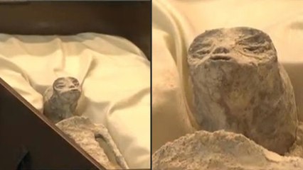 Angebliche Mumien von Außerirdischen im mexikanischen Parlament vorgeführt