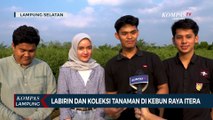 Telusuri Labirin dan Melihat Jenis Tanaman di Kebun Raya Itera