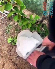 New Innovative Spade #shorts #viral #shortsvideo #video #innovationhub