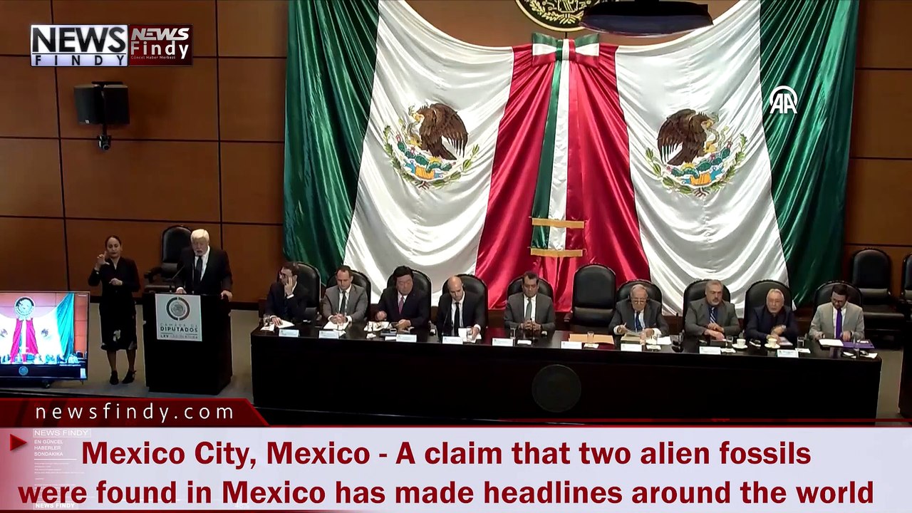 Mexico City, Mexico - A claim that two alien fossils were found in Mexico has made headlines around the world