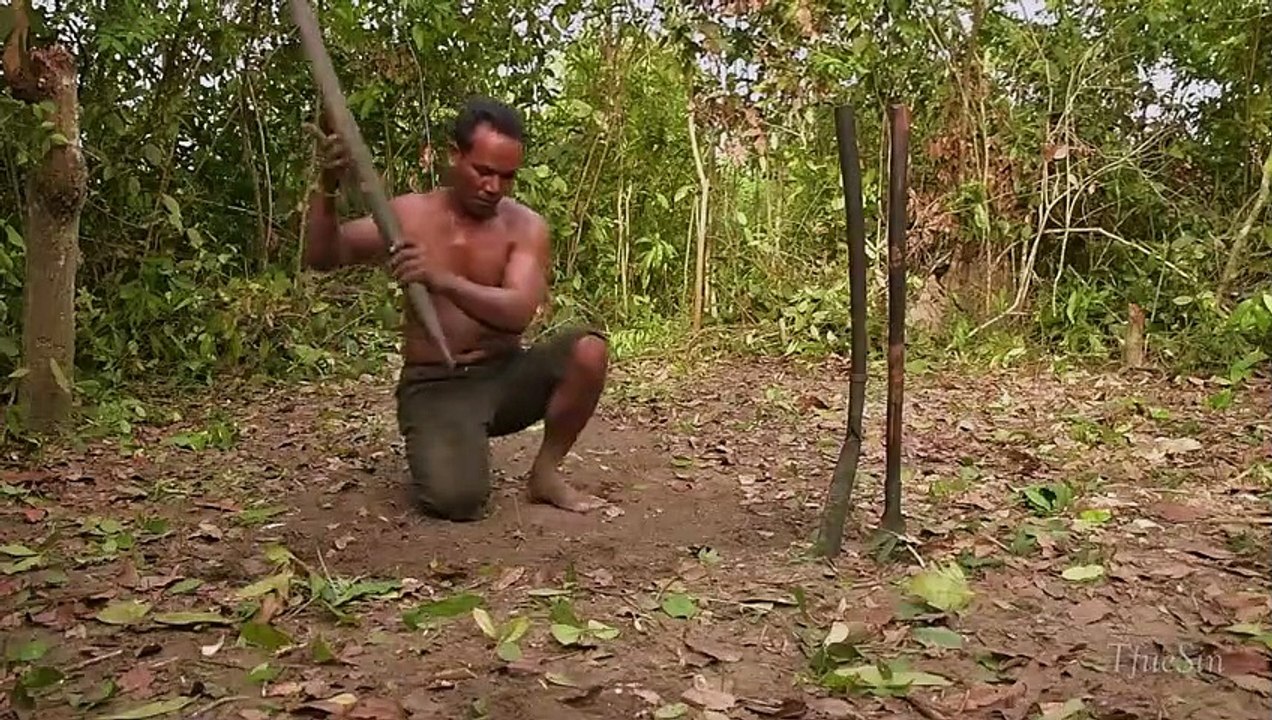 First Primitive Year Living in the Wild to Build the Secret Underground House
