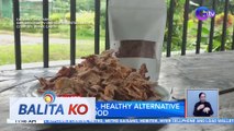 Tofu chips, healthy alternative sa junk food | BK