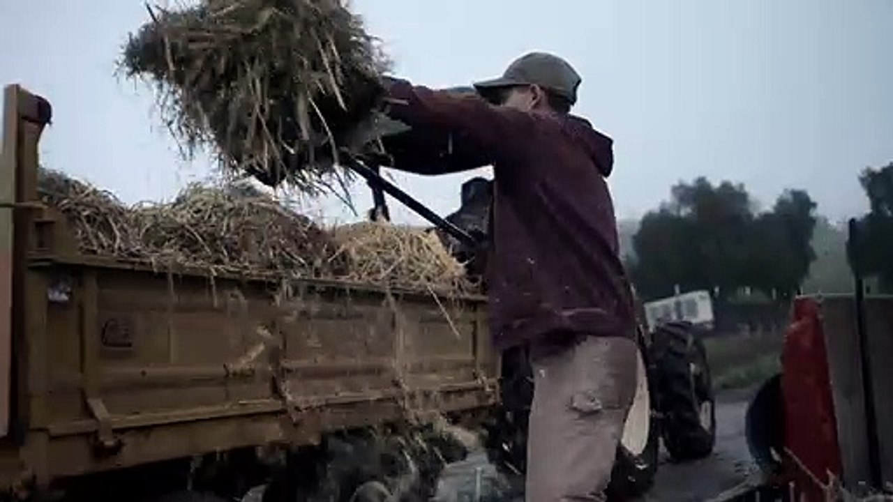 For All Mankind - staffel 4 Trailer OV