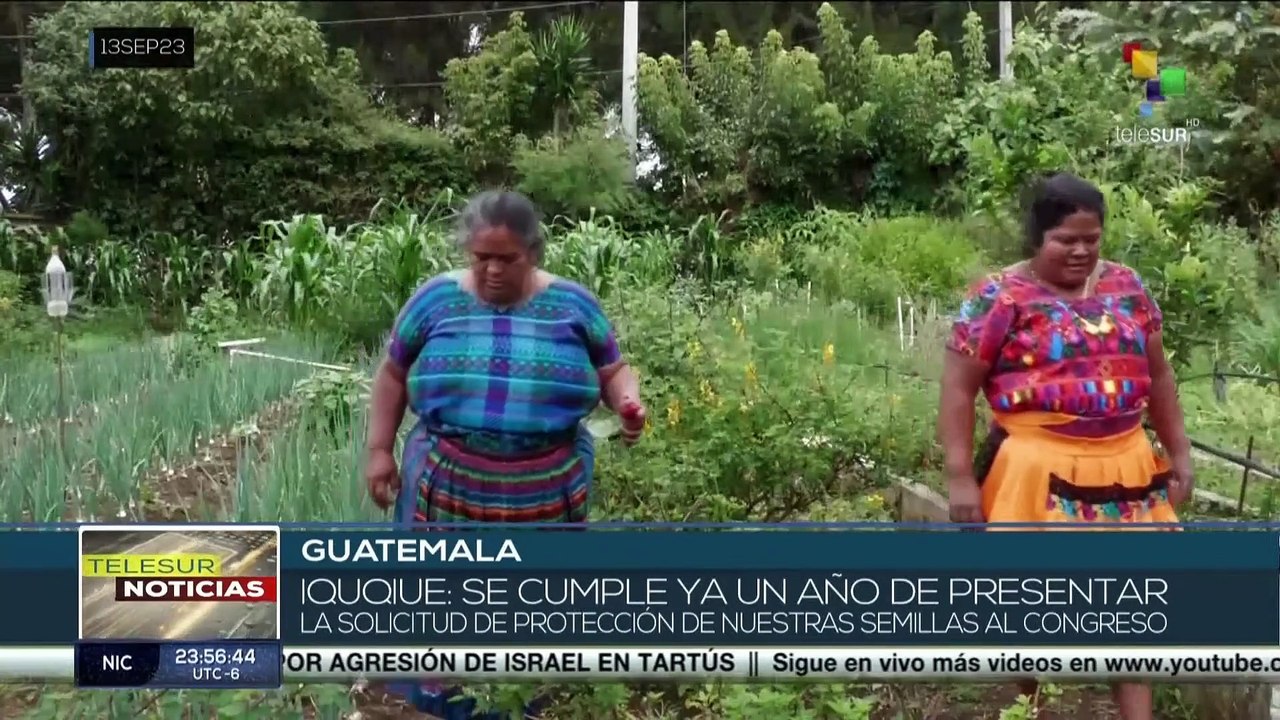 Guatemala: Organizaciones exigen la aprobación de la Ley de biodiversidad y conocimientos ancestrales