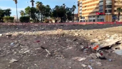 İskenderun'da 1 milyon 100 bin metrekare ağır hasarlı bina yıkıldı