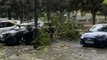 Trees and cars on collision course amid INTENSE storm in Palma, Spain