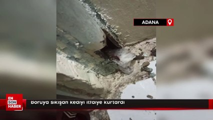 Boruya sıkışan kediyi itfaiye kurtardı
