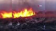 Kırklareli'nde buğday tarlası ve çöplük alanda çıkan yangın söndürüldü