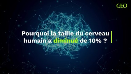Pourquoi la taille du cerveau humain a diminué de 10% ?