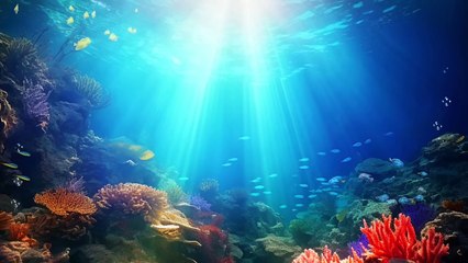 Underwater Ambience Relaxing Music, Stress Relief, Meditation Music, Calming Music, Sleep ☯3803