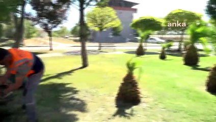 Bornova'da Park ve Yeşil Alanların Bakımı Titizlikle Sürdürülüyor