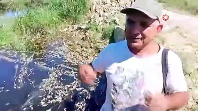 Türkiye'nin cennetinde korkutan balık ölümleri