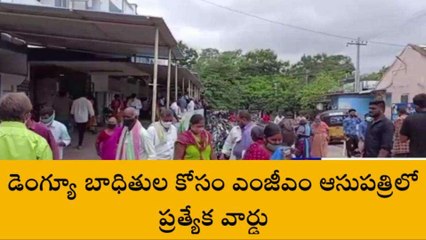 వరంగల్ ఈస్ట్: జిల్లాలో పెరిగిపోతున్న డెంగ్యూ కేసులు..
