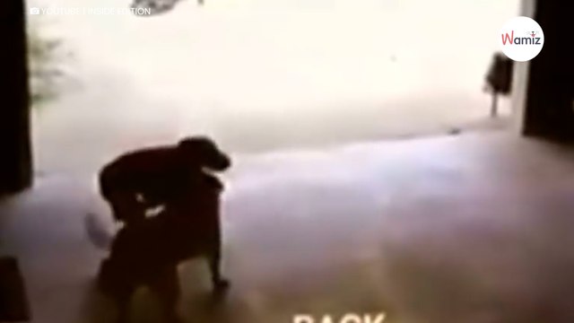 Elle voit son fils pénétrer chez les voisins, quand elle comprend elle est bouleversée