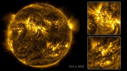 Unlocking the Mysteries of the Sun's 133-Day Cycle