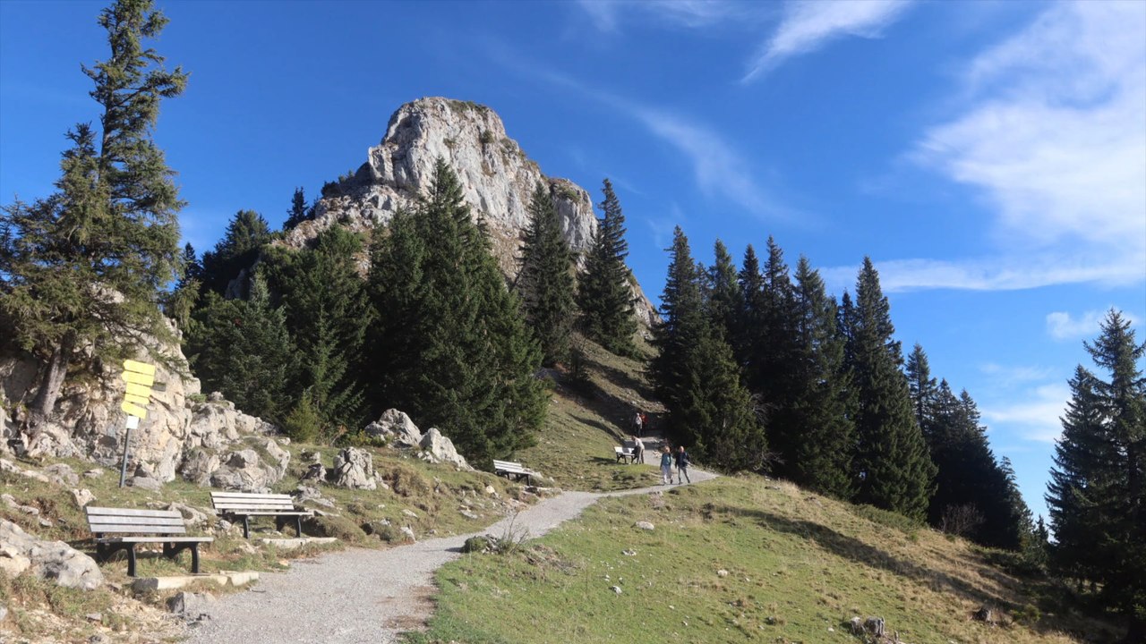 50-jährige Frau stürzt in Voralpen in den Tod
