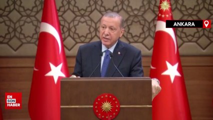 Cumhurbaşkanı Erdoğan Sezgin Tanrıkulu'nun ifadelerine tepki gösterdi