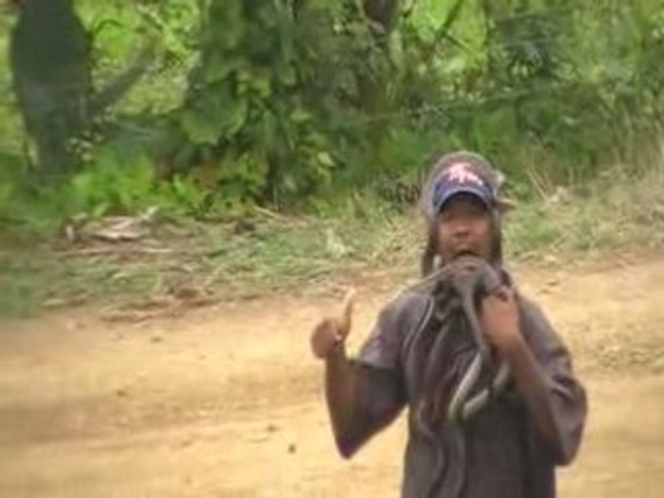 Serpent