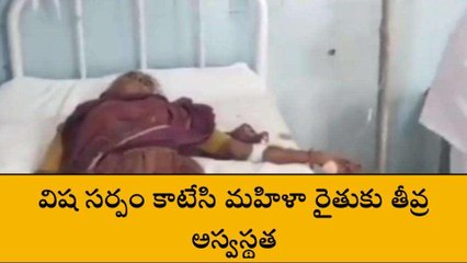 అన్నమయ్య జిల్లా: పశువులను మేపుతుండగా కాటేసిన పాము... పరిస్థితి విషమం