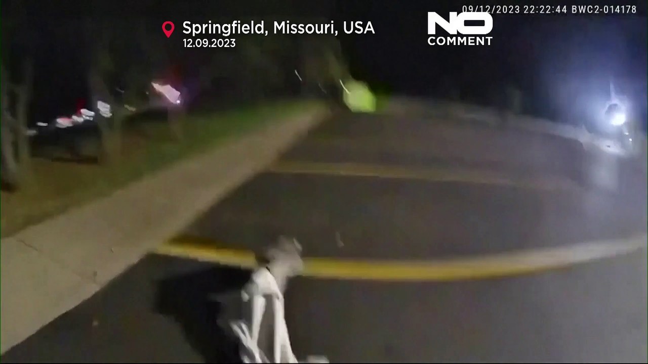 Ausgebüxt! Lemur liefert sich wilde Verfolgungsjagd mit Polizei in Springfield
