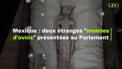 Des momies extra-terrestres ont été présentées au Parlement mexicain