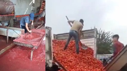 Bir salça üretim fabrikasından paylaşılan görüntüler kısa sürede tepkilere neden oldu