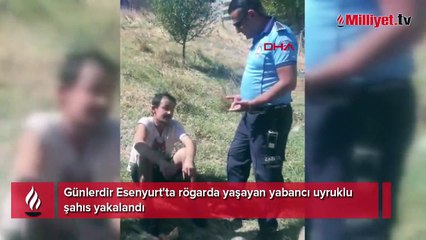 Bu görüntüler İstanbul'dan! Rögarda 3 gün yaşadı, böyle yakalandı